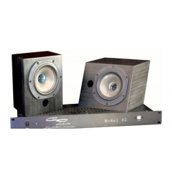Pelonis Audio 42 monitor set & amplifer